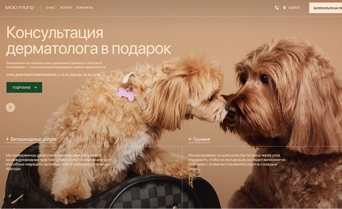 Animal Beauty and Health Clinic