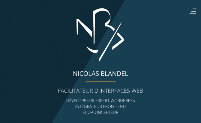 Nicolas Blandel, Web Developer