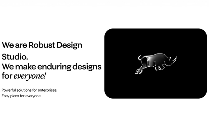 Robust Design Studio